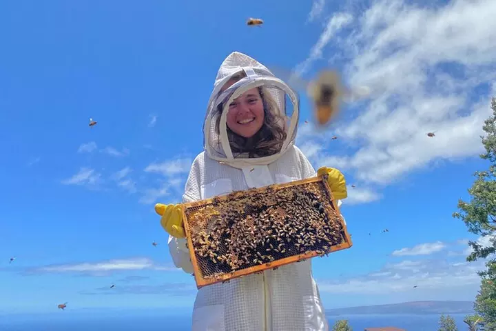 Honey Bee Adventure at the Maui Honey Bee Sanctuary