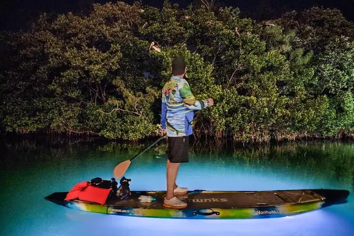 Anna Maria Island - Clear Kayak LED Night Glass Bottom Tour