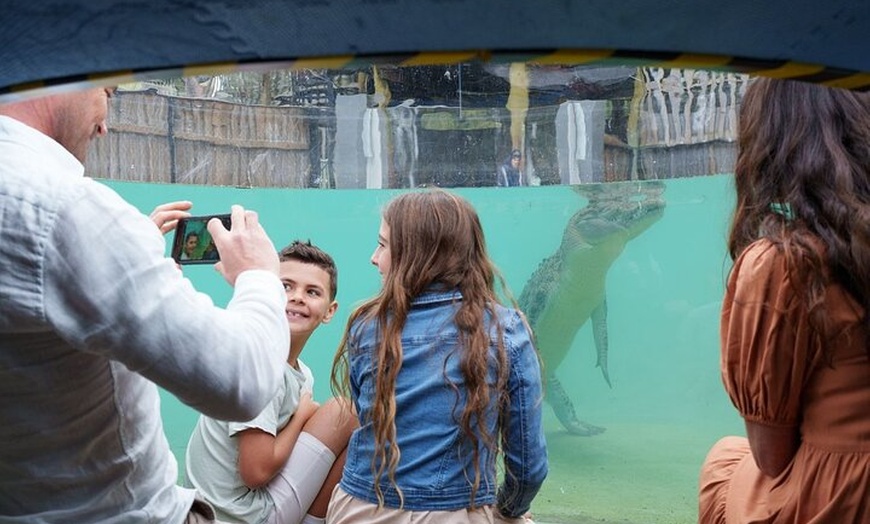 Image 12: Brisbane Private Shore Excursions with Lone Pine Koala Sanctuary