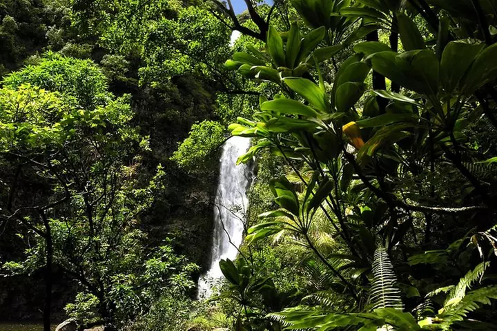 Small-Group Road to Hana Luxury Tour