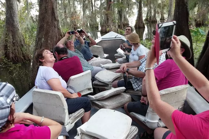 Nature and Wildlife Boat Tour in Louisiana (Tour times vary according to season) - Primary Image
