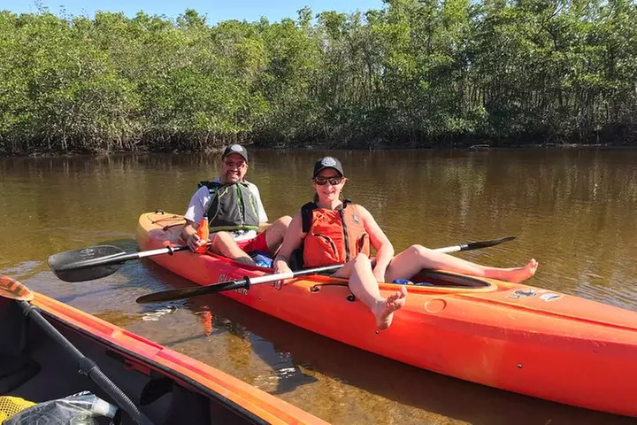 Manatees and Mangrove Tunnels Small Group Kayak Tour