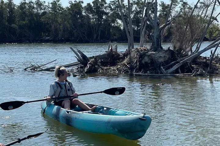 Wildlife Refuge Manatee, Dolphin & Mangrove Kayak or Paddleboarding...