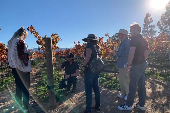 Small-Group Wine Tasting Tour of Santa Barbara Wine Country