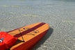 Dolphin and Manatee Adventure Tour of Naples with Florida History - Second Medium