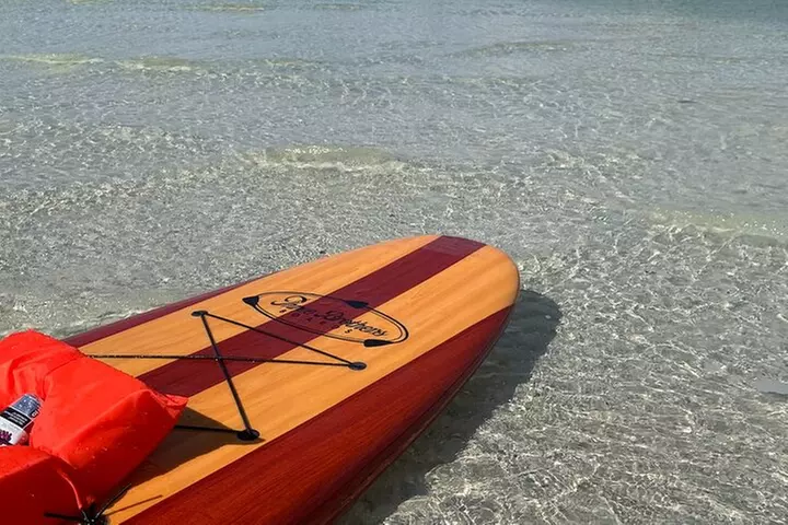 Dolphin and Manatee Adventure Tour of Naples with Florida History