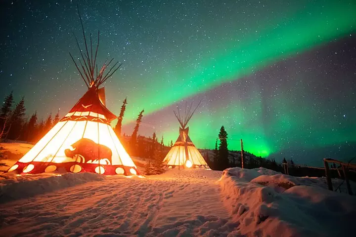 Arctic Day: Aurora Viewing Tour | late night - Primary Image