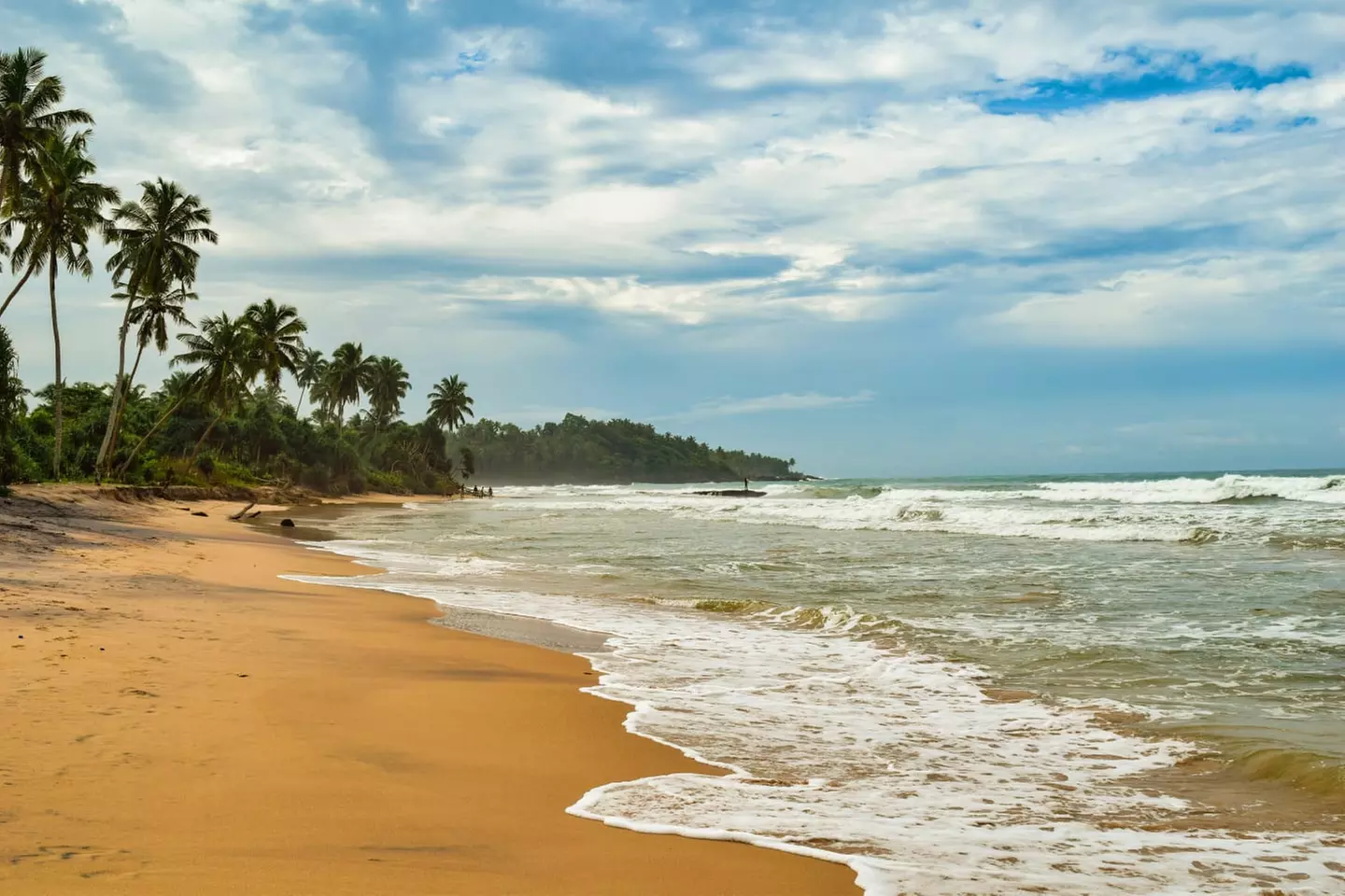 ✈ SRI LANKA | Colombo - Il meglio dello Sri Lanka con un'estensione...