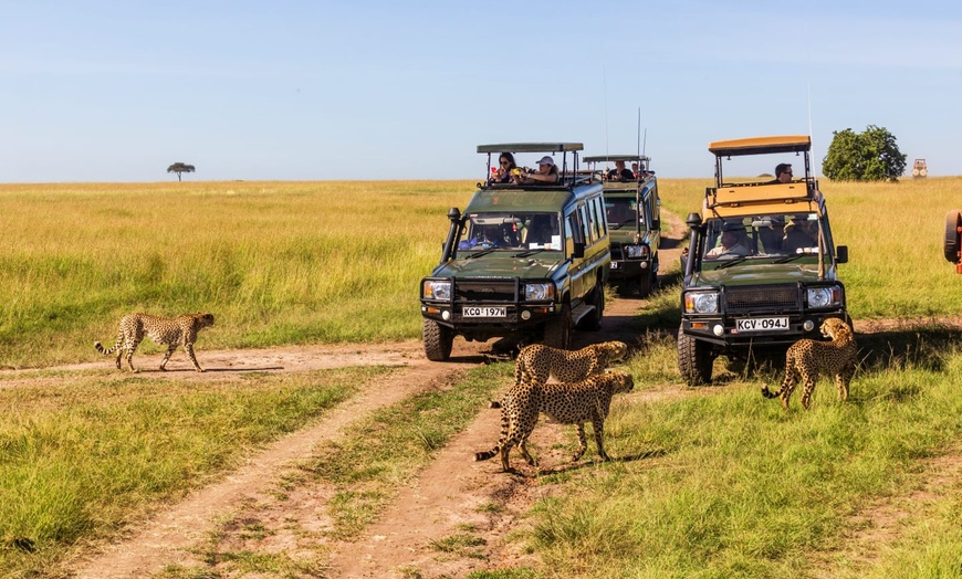 Image 9: ✈ KENIA | Nairobi - Private Tour: Safari in Kenia und Verlängerung ...