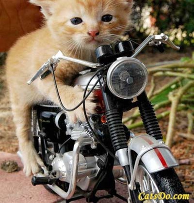 test deal lbtpjxqsbhylghbl12swbfijugwgavksexqshgany9i