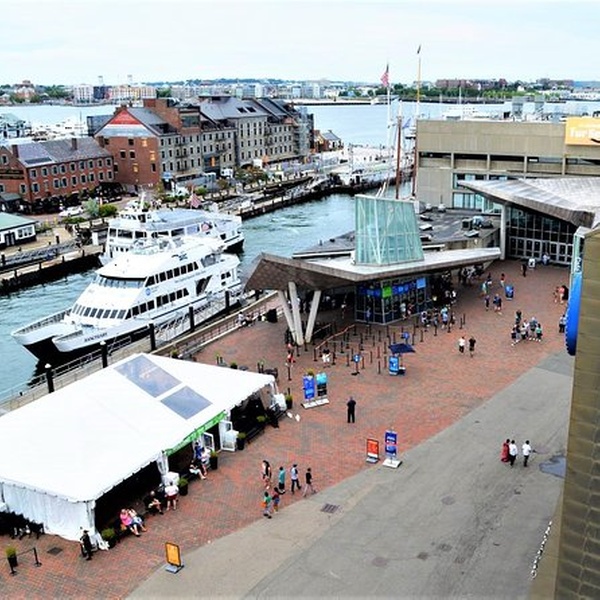 new england aquarium groupon