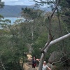Image 24: Hobart: Wineglass Bay & Freycinet National Park - Active Day Tour