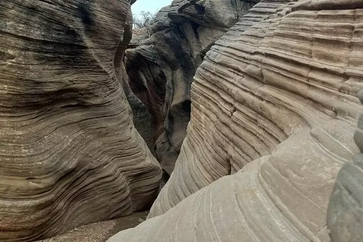 Slot Canyon 2hr tour at Willis Creek