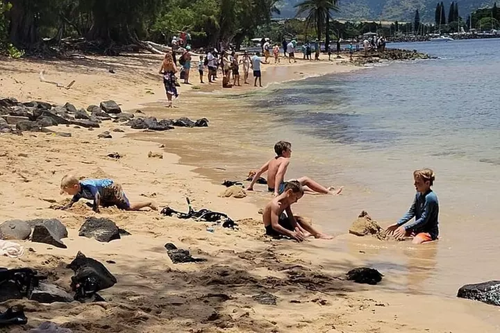 Oahu Circle Island: Snorkel with Turtles & Explore Turtle Beach