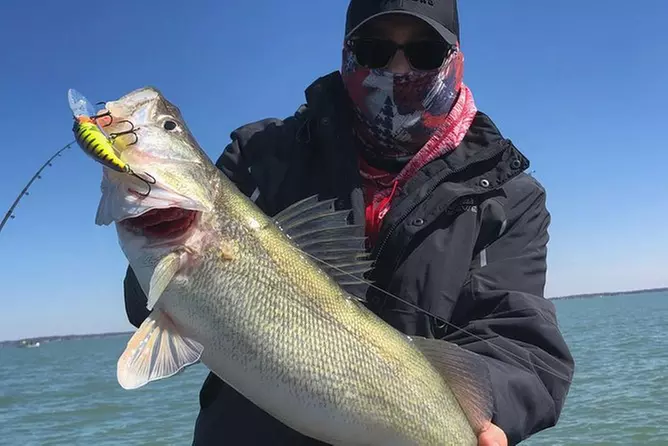 Lake Erie Walleye Fishing Charter - Primary Image