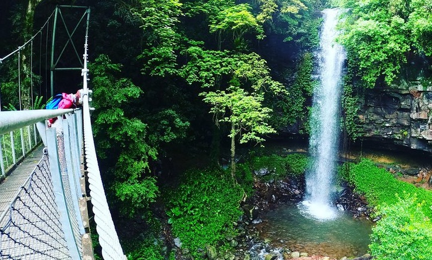 Image 2: Rainforest & Waterfall Experience