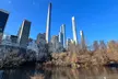 NYC Beginner Private Birdwatching Tour - Second Medium
