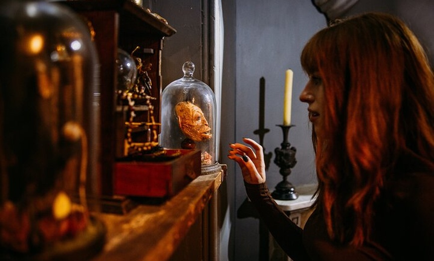 Image 2: Mary Shelley's House of Frankenstein Multisensory Museum in Bath