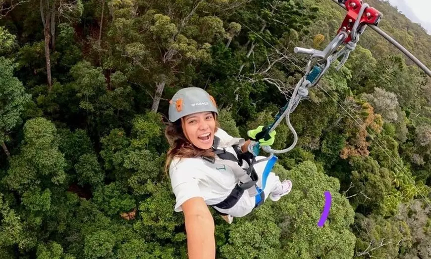 Image 4: Gold Coast Canyon Flyer Zipline Tour