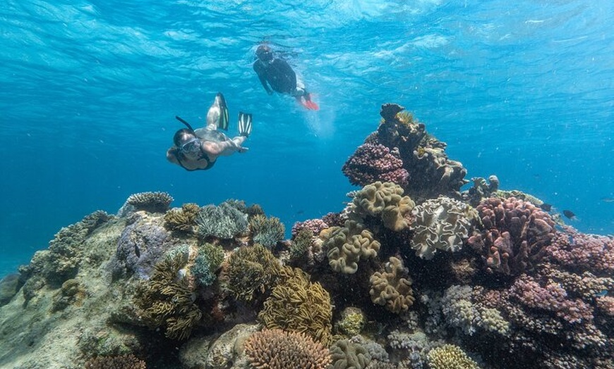 Image 3: Great Barrier Reef Full Day Tour from Cairns