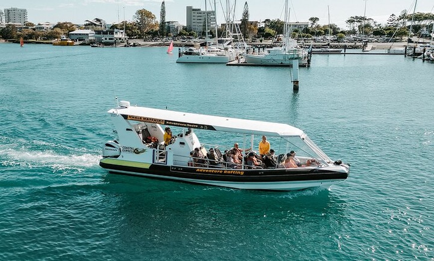 Image 3: Mooloolaba Whale Watching Tour