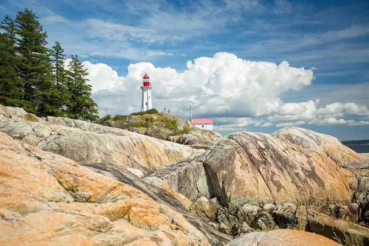 Lighthouse Park Hiking / Horseshoe Bay Discovery Tour - Primary Image