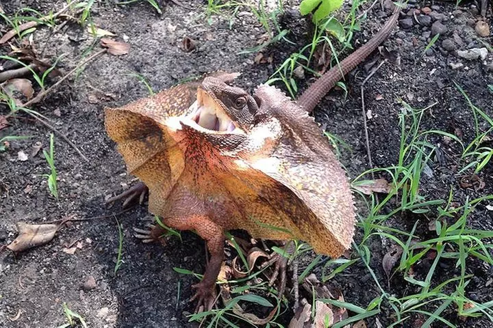 Litchfield National Park and Jumping Crocodile Cruise