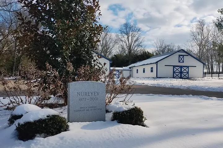 Half-Day Thoroughbred Horse Farm Tour in Kentucky
