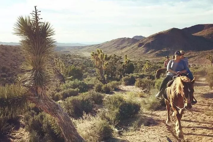 Full Day Grand Canyon Trip with Horseback Ride From Las Vegas