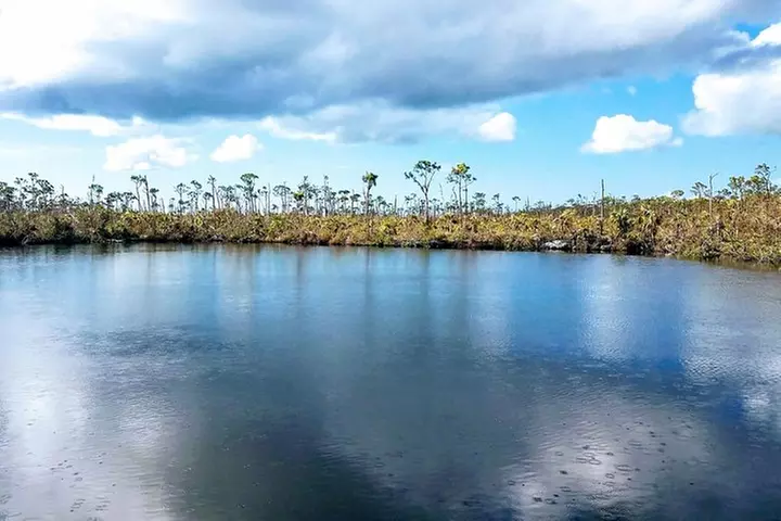 Florida Keys Nature & History Tour from Key West