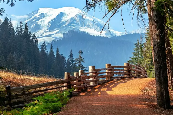 Ultimate Mount Rainier National Park Self-Guided Driving Tour