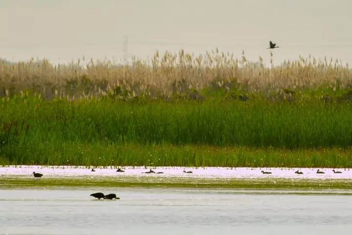 Great Salt Lake Guided Bus Tour from Salt Lake City - Second Medium