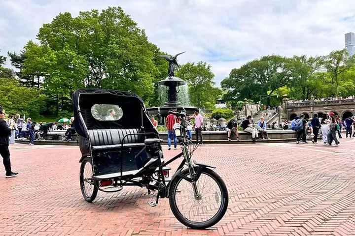 Central Park Pedicab Guided Tour - Primary Image