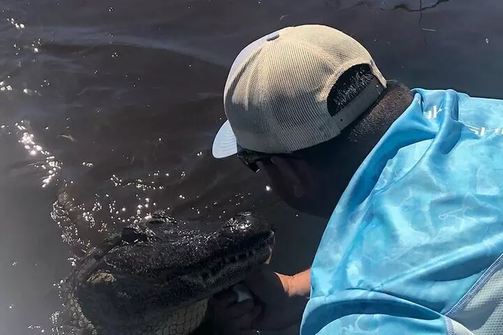 Small Airboat and Oak Alley Plantation Tour from New Orleans