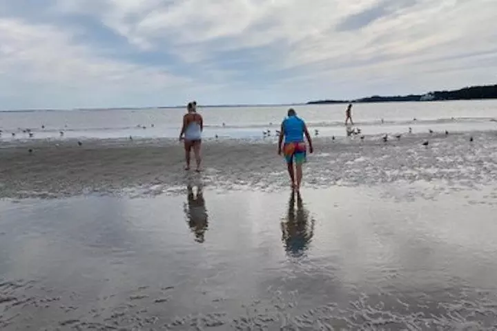 Private Disappearing Island Dolphin Tour
