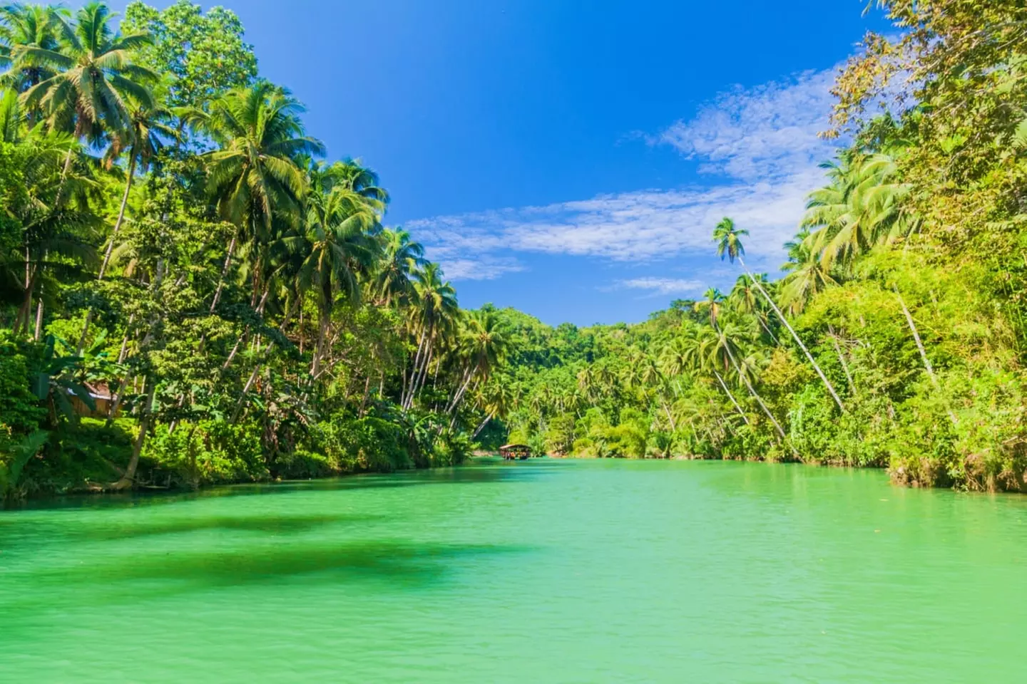 ✈ FILIPPINE | Cebu - Alla scoperta delle Filippine 4*, 7 notti - Tour