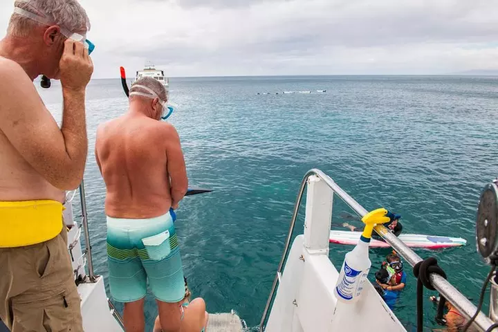 Four Winds Molokini Snorkeling Tour from Maalaea Harbor