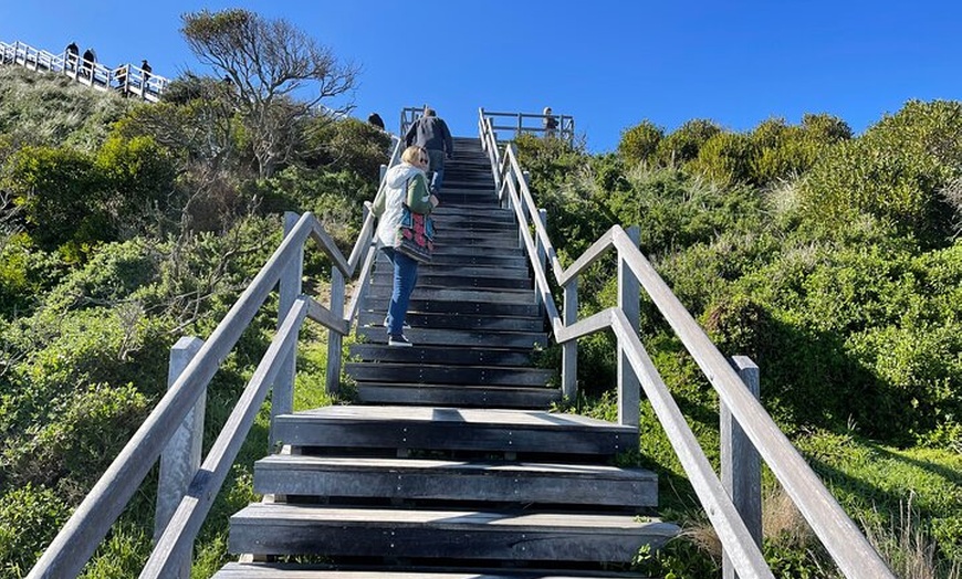 Image 18: Bruny Island Nature and Tasting Active Day Tour