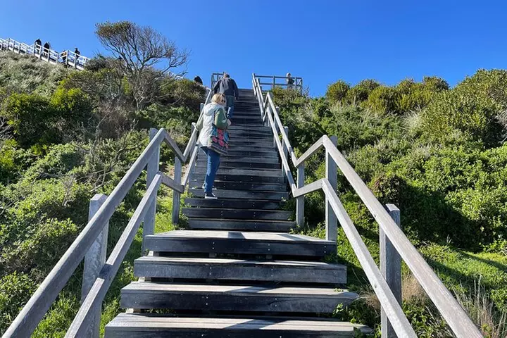 Hobart: Bruny Island Adventure: Hiking, Highlights & Local tastes