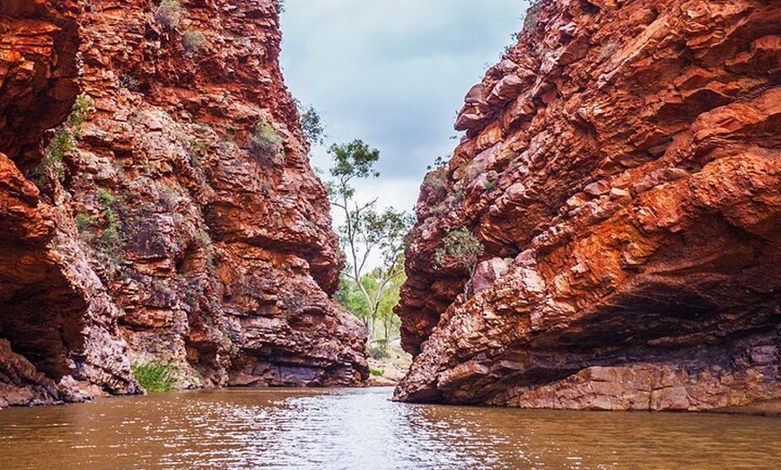 Image 6: Uluru (Ayers Rock) to Alice Springs One-Way Shuttle