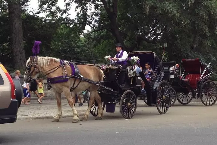 NYC Central Park Horse and Carriage Ride: Long Ride 45 min
