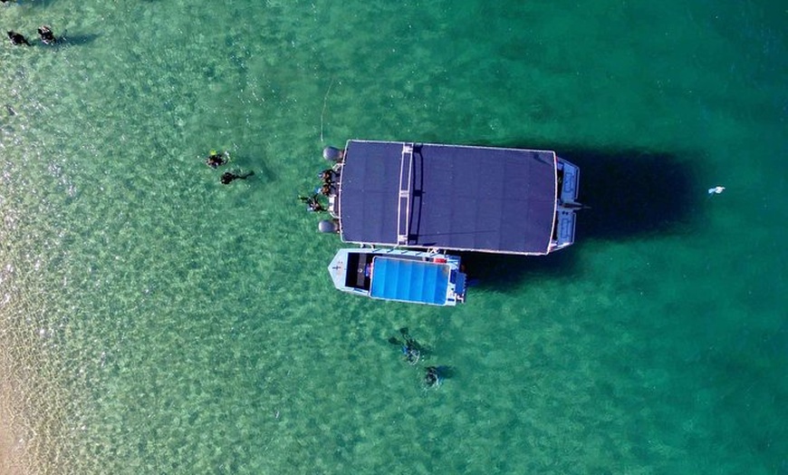 Image 7: Wave Break Island Snorkel Tour on the Gold Coast