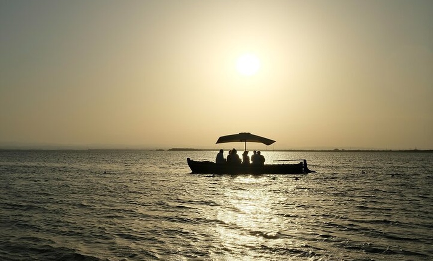 Image 10: Aventura en bicicleta desde Valencia a Humedales y playas de la Alb...