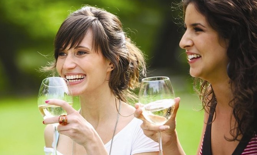 Image 1: Yarra Valley Wine Tasting Tours