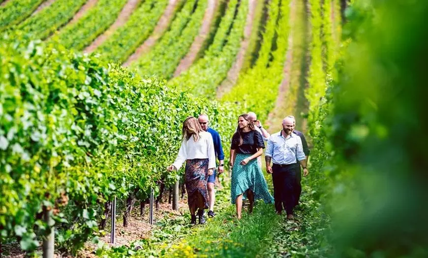 Image 3: Hobart: Highlights of Tasmanian Wine Full Day Tour
