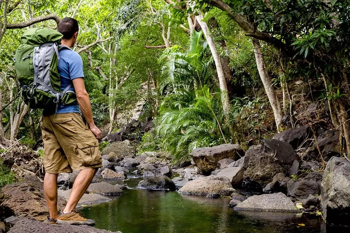 Kauai Wailua Valley & Waterfalls Audio Driving Tour