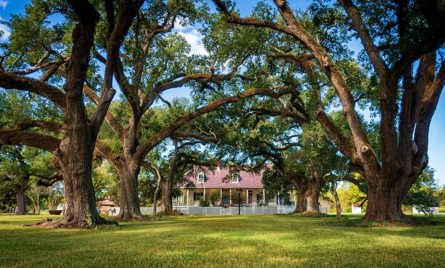 Image 10: ✈ UNITED STATES | New Orleans - Explore Louisiana by car 3* - Self-...