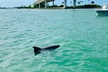 Clearwater Beach Private Pontoon Boat Tour for six - Second Medium
