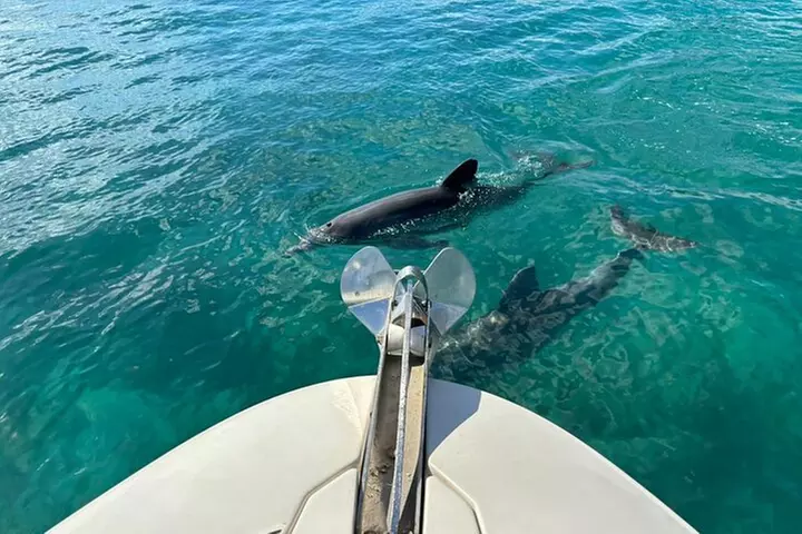 Explore Miami in Style: Private Boat Cruise with Captain