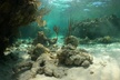 All-inclusive day-trip from Nassau to Andros Bahamas - Second Medium